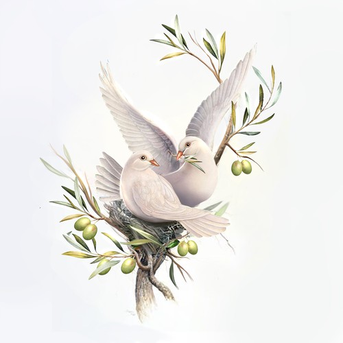 doves in olive tree 