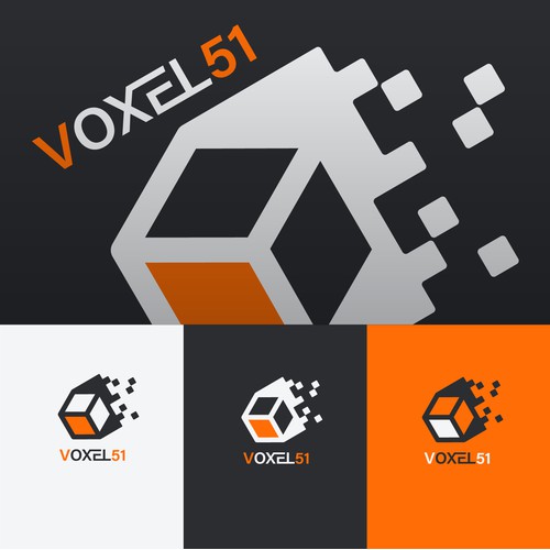 VOXEL 51