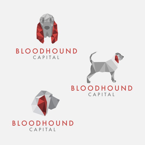 Bloodhound Capital