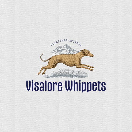 Visalore Whippets