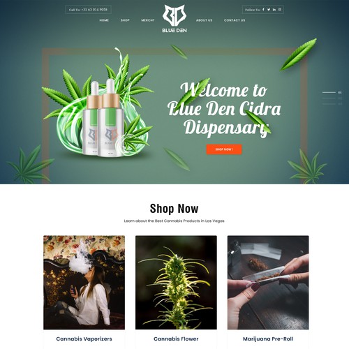 Website design