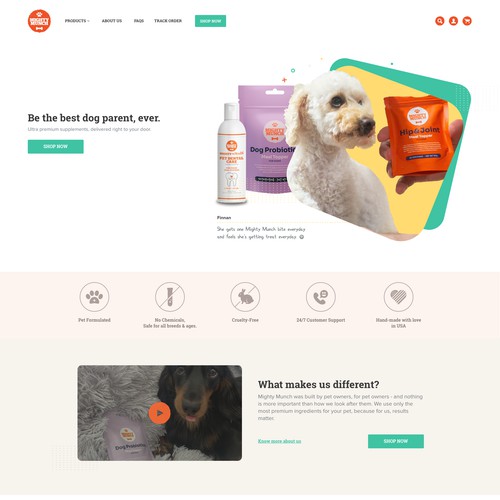 Homepage design for Dog’s supplement e-commerce website