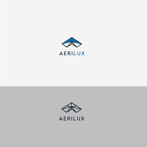 Logo Concept for Drone company