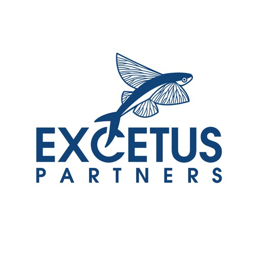 Excetus  Partners