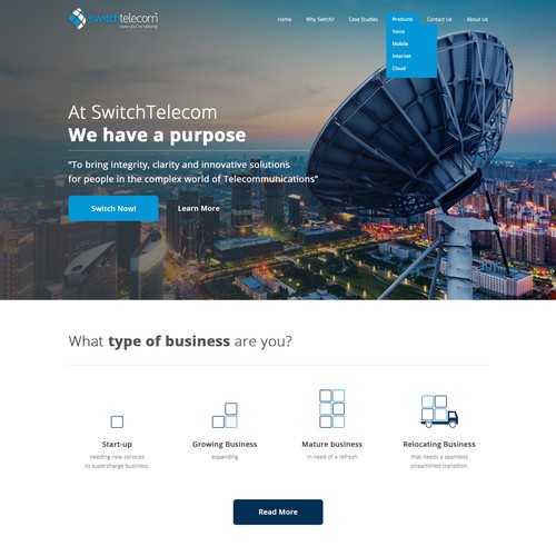 Impressive Landing page for telecom business