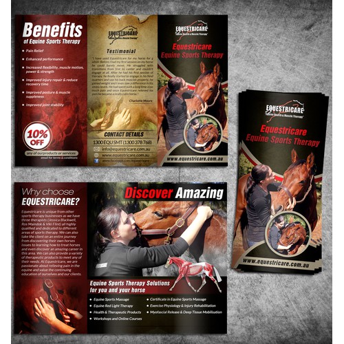 Equestricare Equine Sports Therapy needs a new brochure design