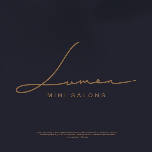 Signature logo style for a hair salon