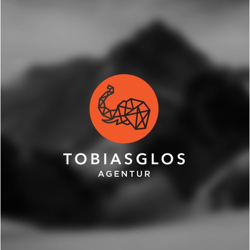 Tobias Glos Agentur – Bold Branding & Identity Design