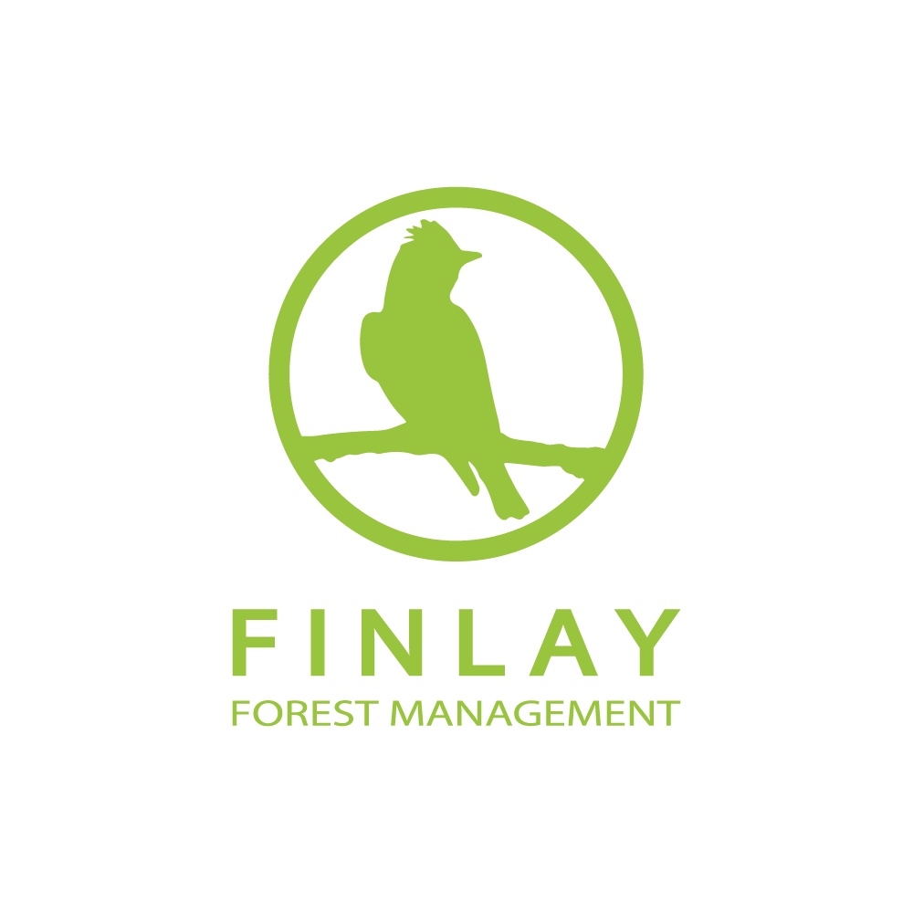 stand out logo for forestry consultant company in northern BC