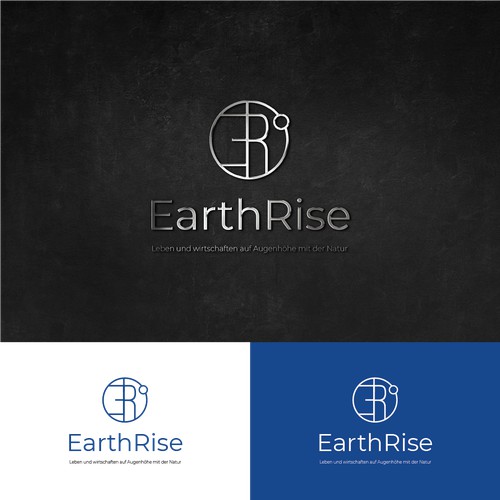 Logo concept for EarthRise