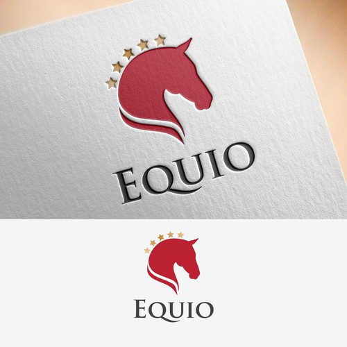 Winning Design for Equio