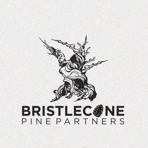 Bristlecone Pine Tree Logo