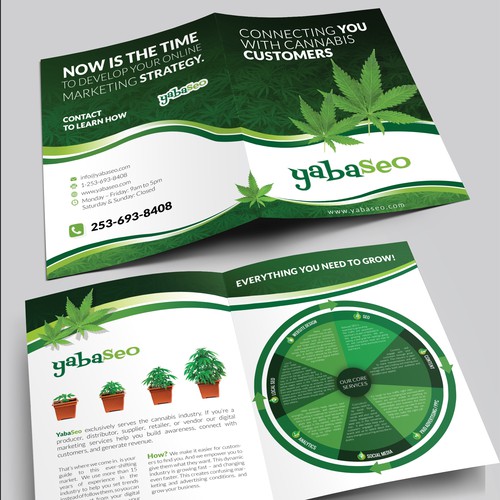Create a digital marketing brochure for the cannabis industry