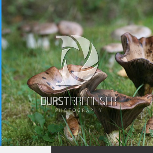 Create the next logo for Durst Breneiser Photography