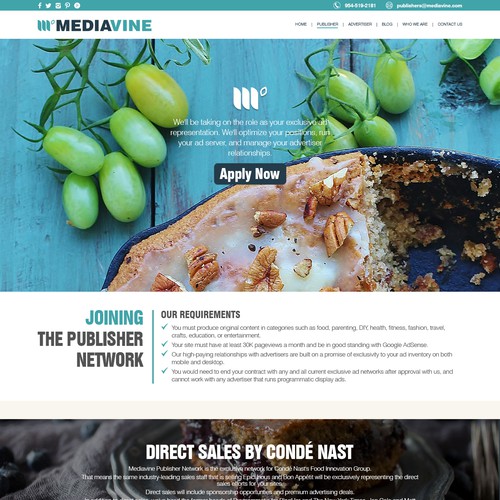 Website Publisher Page