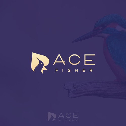 Ace bird