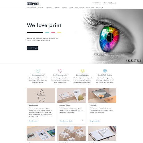 Homepage Design for Pro Print