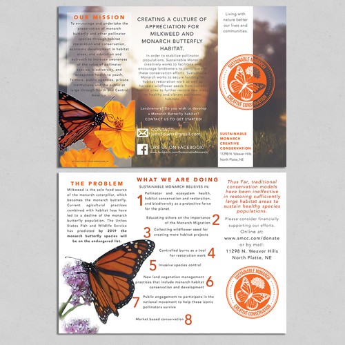 Beautiful Orange Highlights Conservation