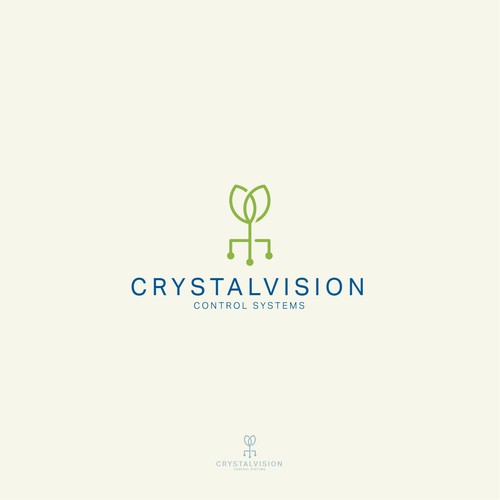 Crystal Vision