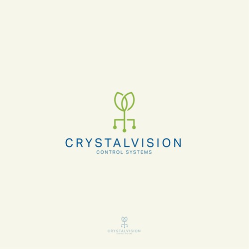 Crystal Vision