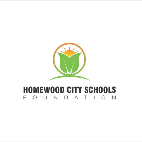 homewood city school foundation