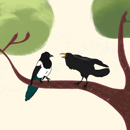 Crow and Magpie