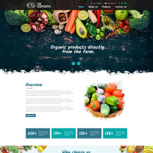 Web Home Page UI Design for Exports Company