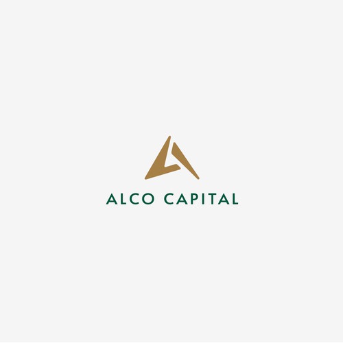 Logo concept for investment firm