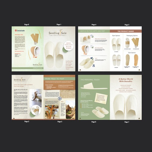 Brochure Design 