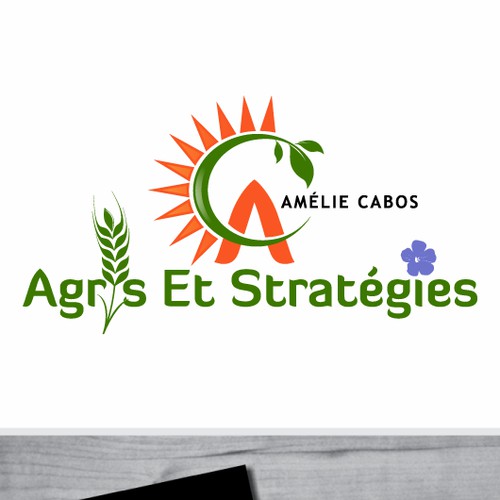 Logo for "Amélie Cabos agris et stratégies