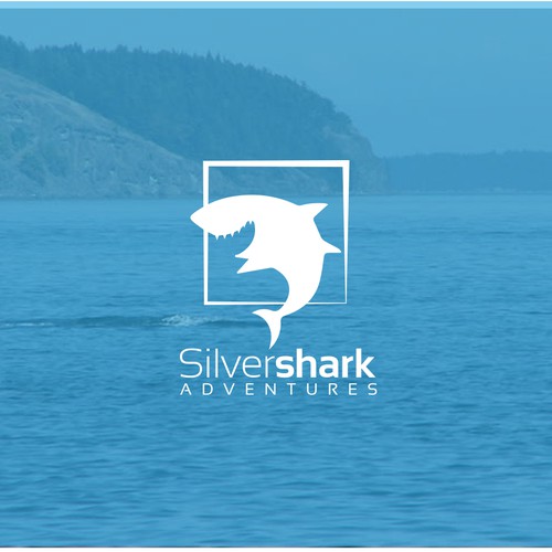 creative logo design concept for silver shark