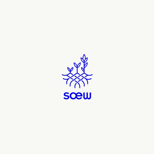 Sœw digital marketing agency