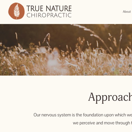 True Nature Chiropractic - Branding & Website Design