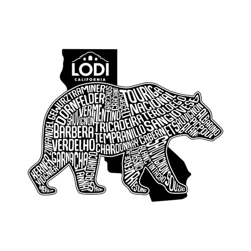 Bold and clean typography design for California Bear