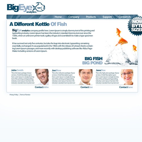 BigEye Analytics Website