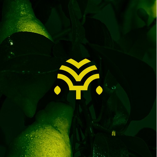 Vicente Trapani - Lemon Essence Oil Industry Logo Design