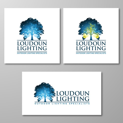 Landscape Lighting logo for a Lighting Professional