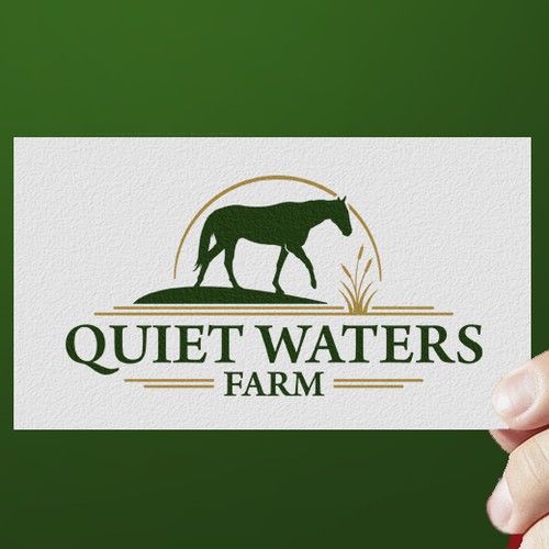 The Quiet Waters