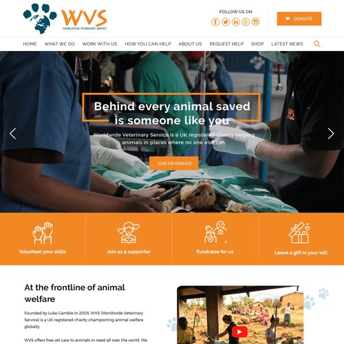 Homepage Design for Worldwide Veterinary Service