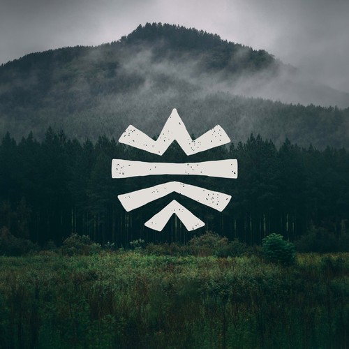 Echo logo design