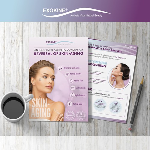 Infographic Brochure