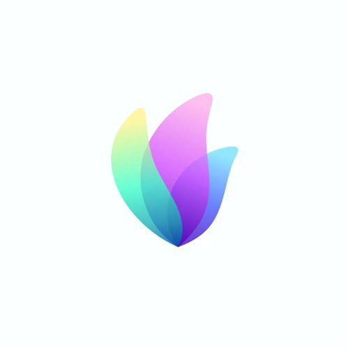 Bloom Construction