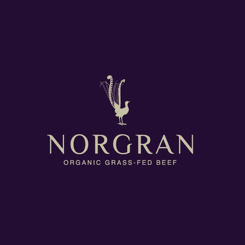 Norgan Organic Grass-Fed Beed