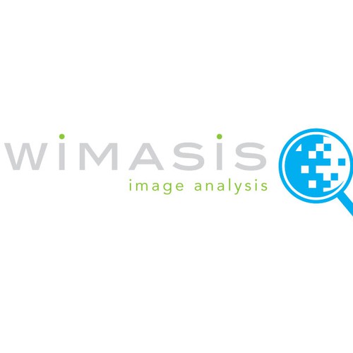 Wimasis Image Analysis