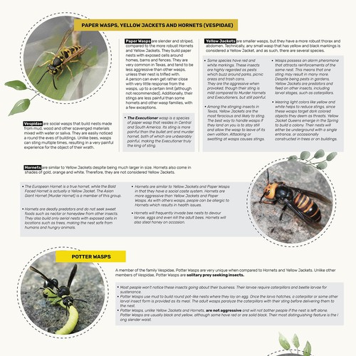 Infographic about wasps