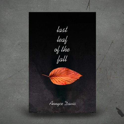 Minimalist book cover
