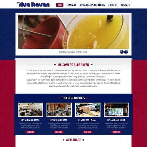 Help Blue Raven with a new website design