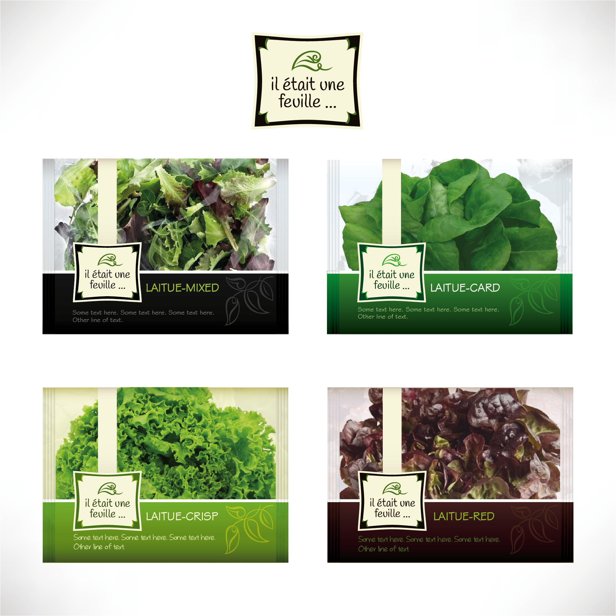 Create a logo design for a hydroponic lettuce farm
