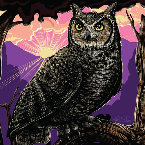American Conservation Film Festival 2026 Poster Design