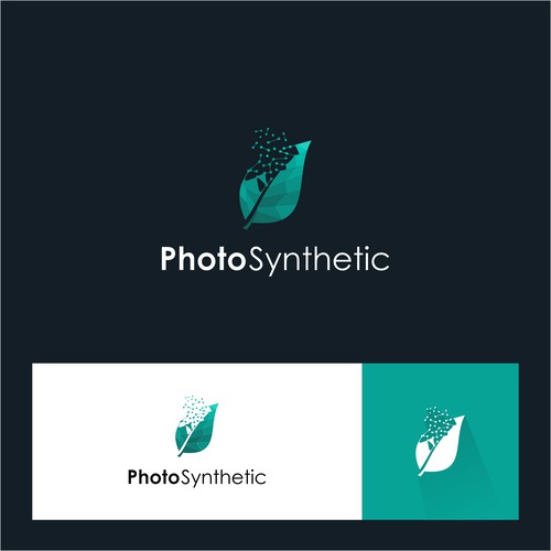 Photo Synthetic